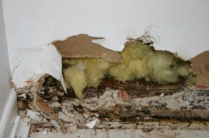 Water damage on drywall