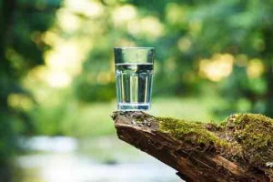 Glass of water sitting on a log