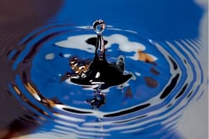 Drop of water in a puddle